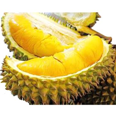 Durian powder